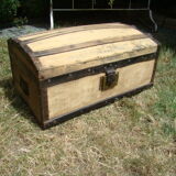 Old bulging trunk
