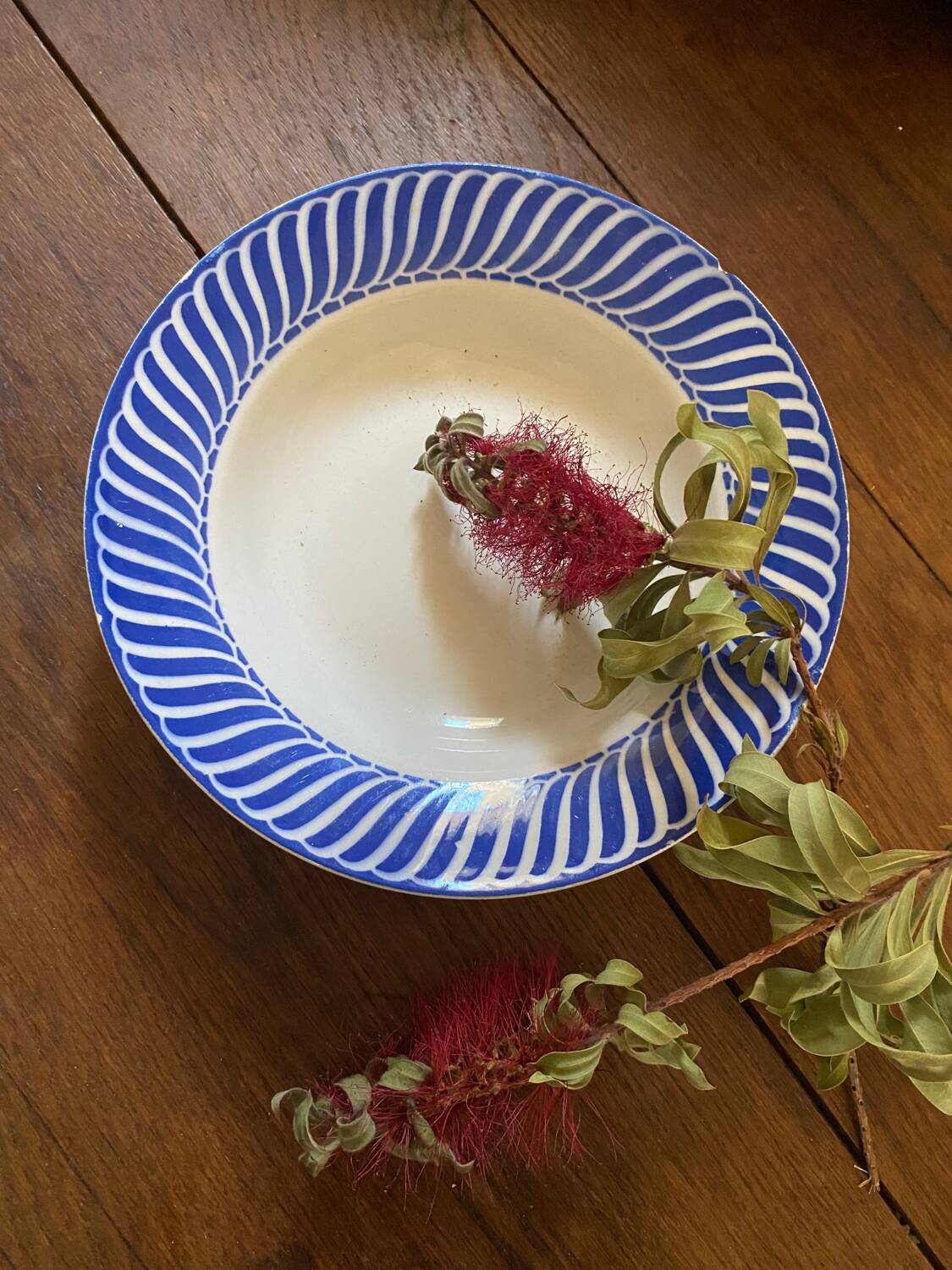 2 Jacquot Digoin Sarreguemines soup plates.