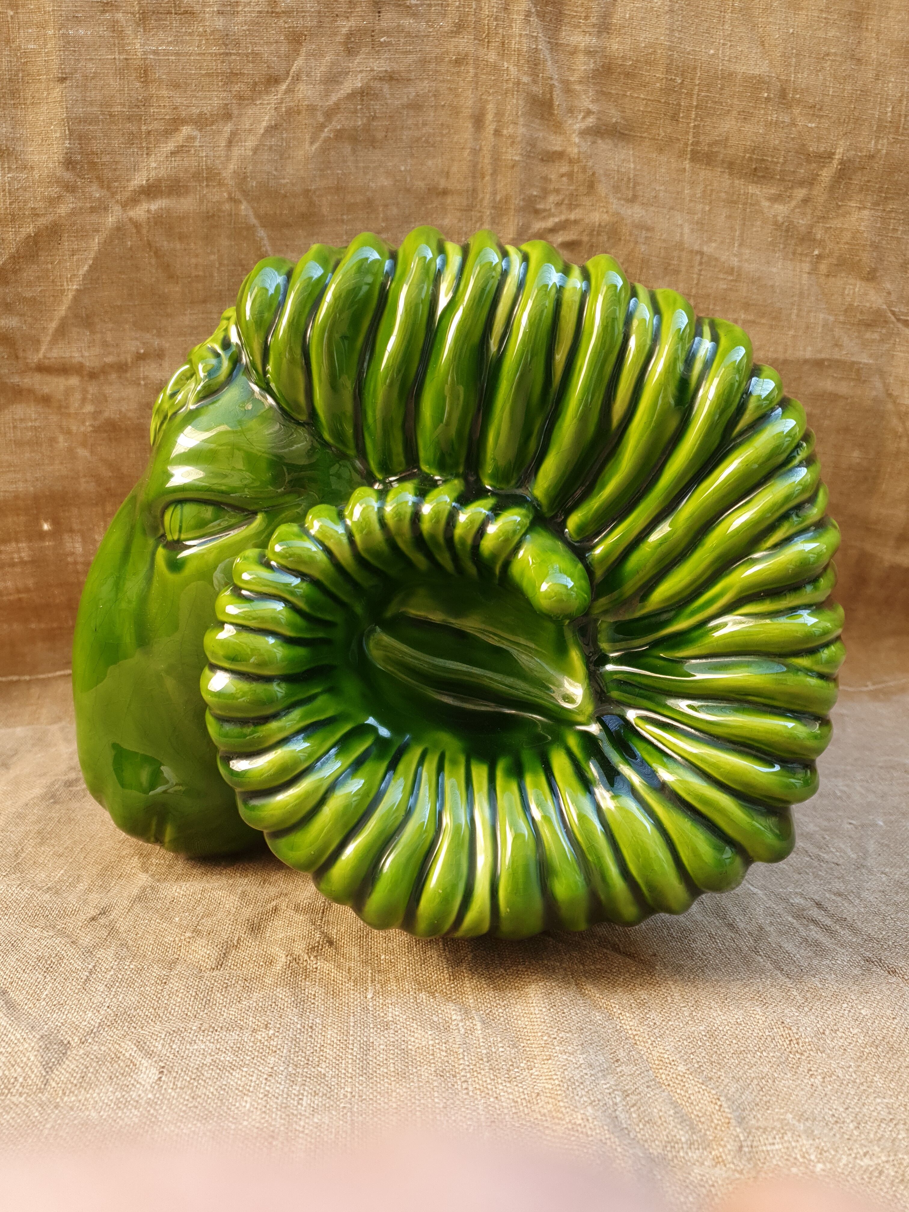 Vase , ramhead dabbling.