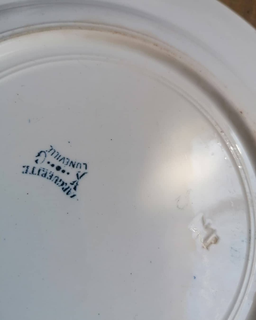 Rare earthenware plate iron earth model Marguerite LG Lunéville / blue transfer / botany