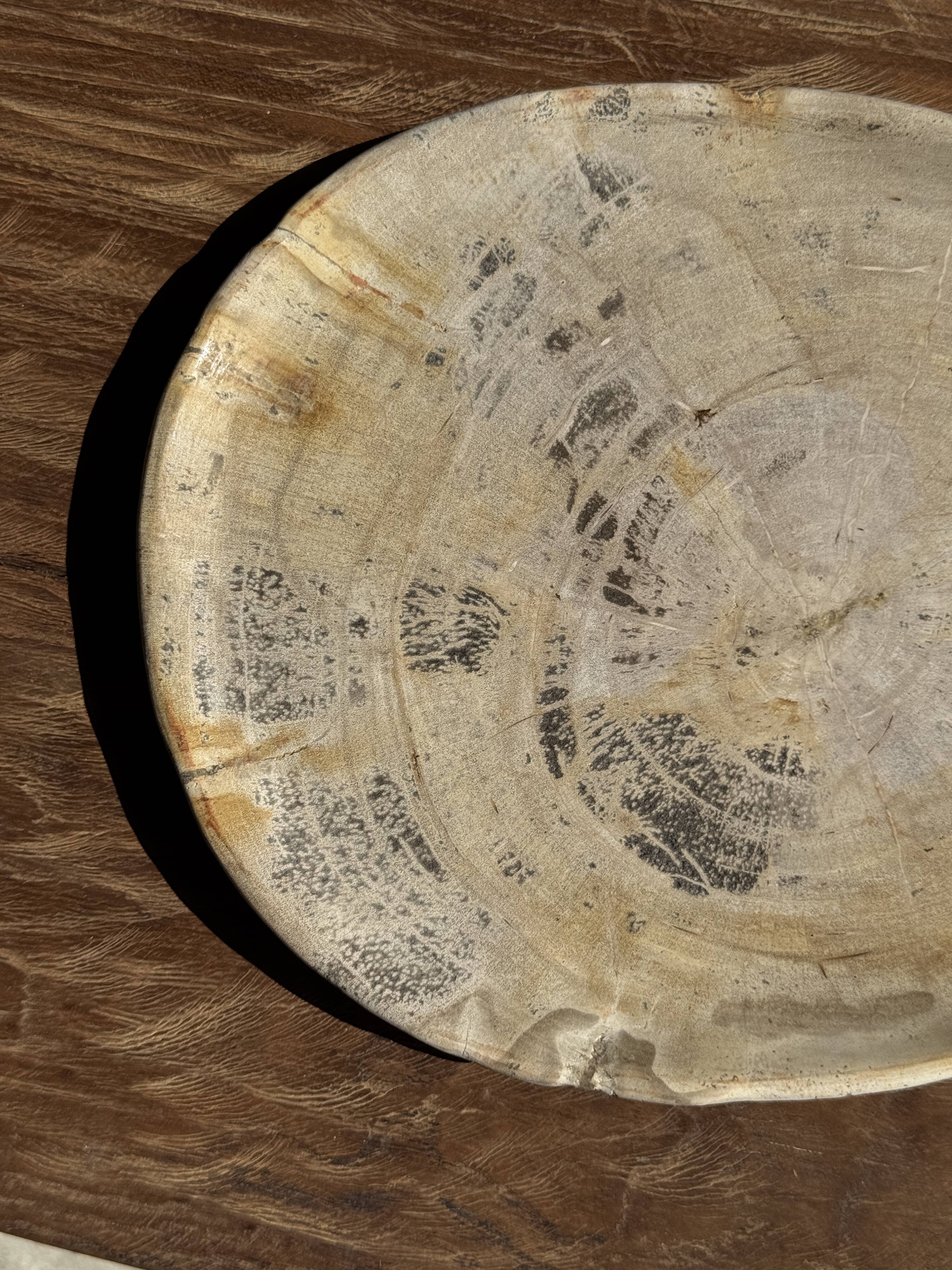 Oval petrified wood dish or bowl with grey edges D28x24 -3779