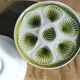 6 oyster plates decorated large fire, Orchies Moulin de loups, ceramic enamelled green
