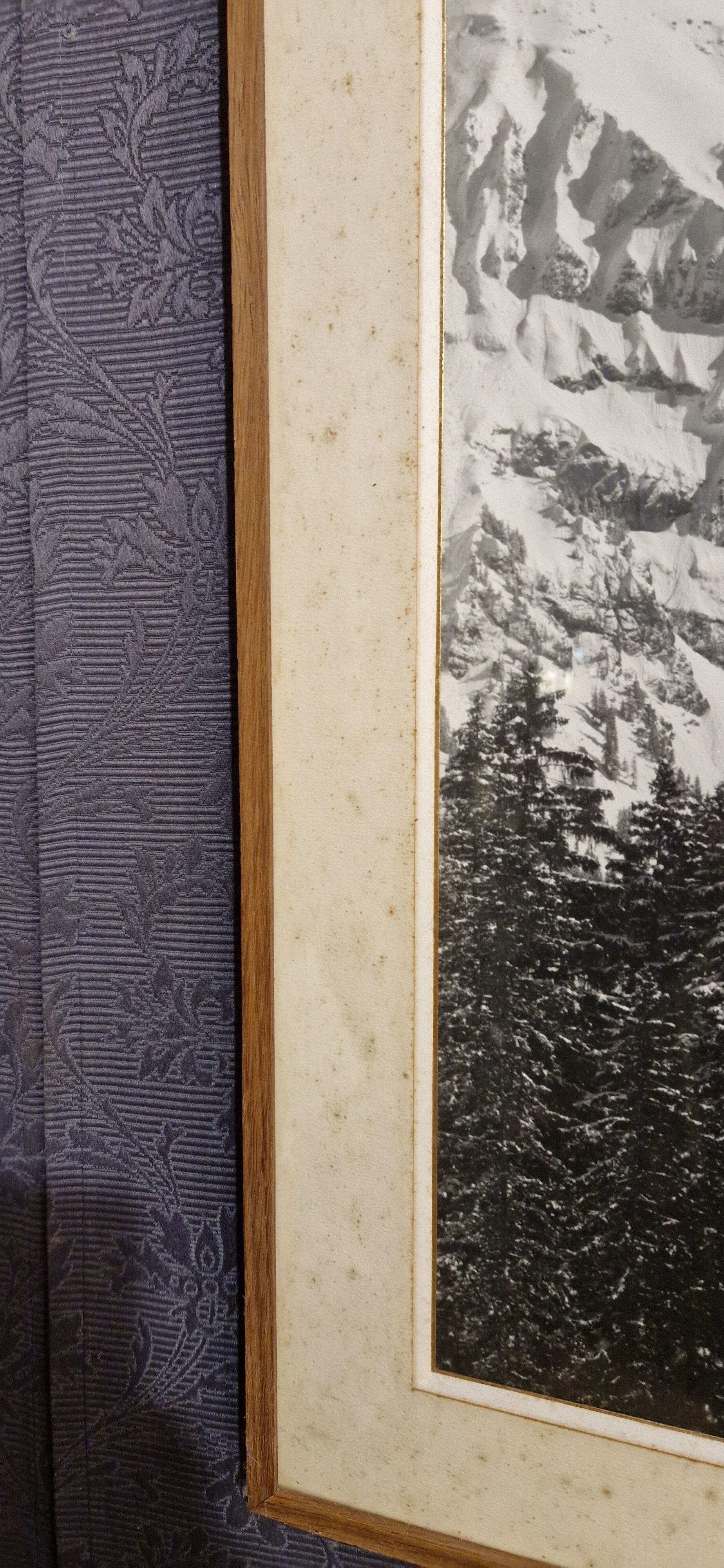 Vintage mountain photo