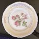Old German porcelain cup and plate
