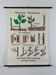 Vintage educational wall hanging roll chart biology plants