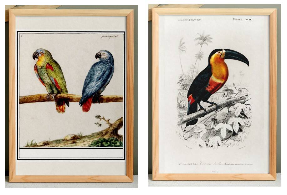 Set of two posters on birds reserved.