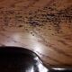 12 teaspoons silver metal