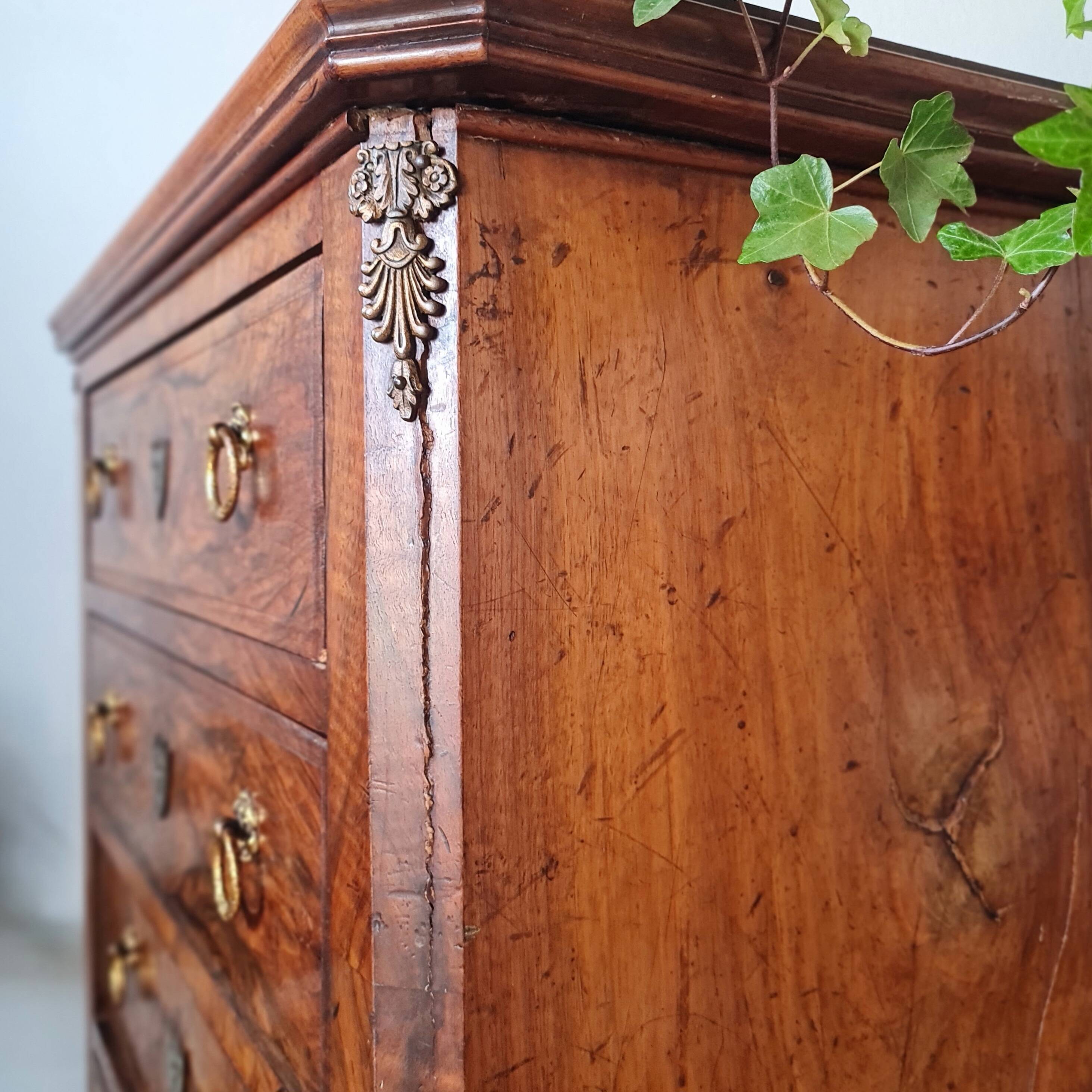 Antique Louis XV style walnut burl commode – 4 drawers – Marquetry