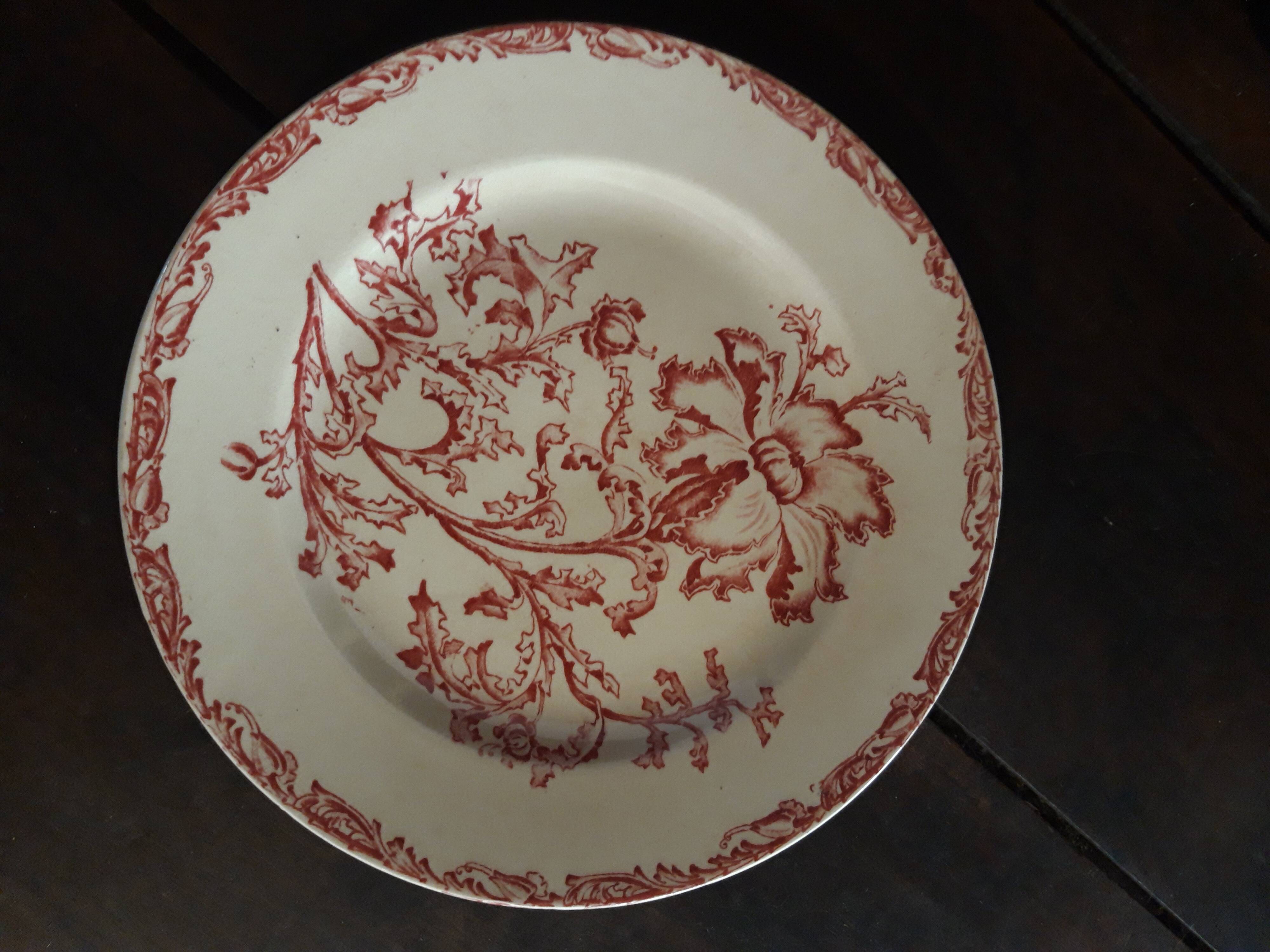 19th Century Plate - Old Man - Datura Model
