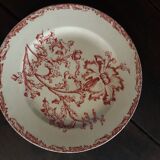 19th Century Plate - Old Man - Datura Model