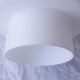 Suspension opaline