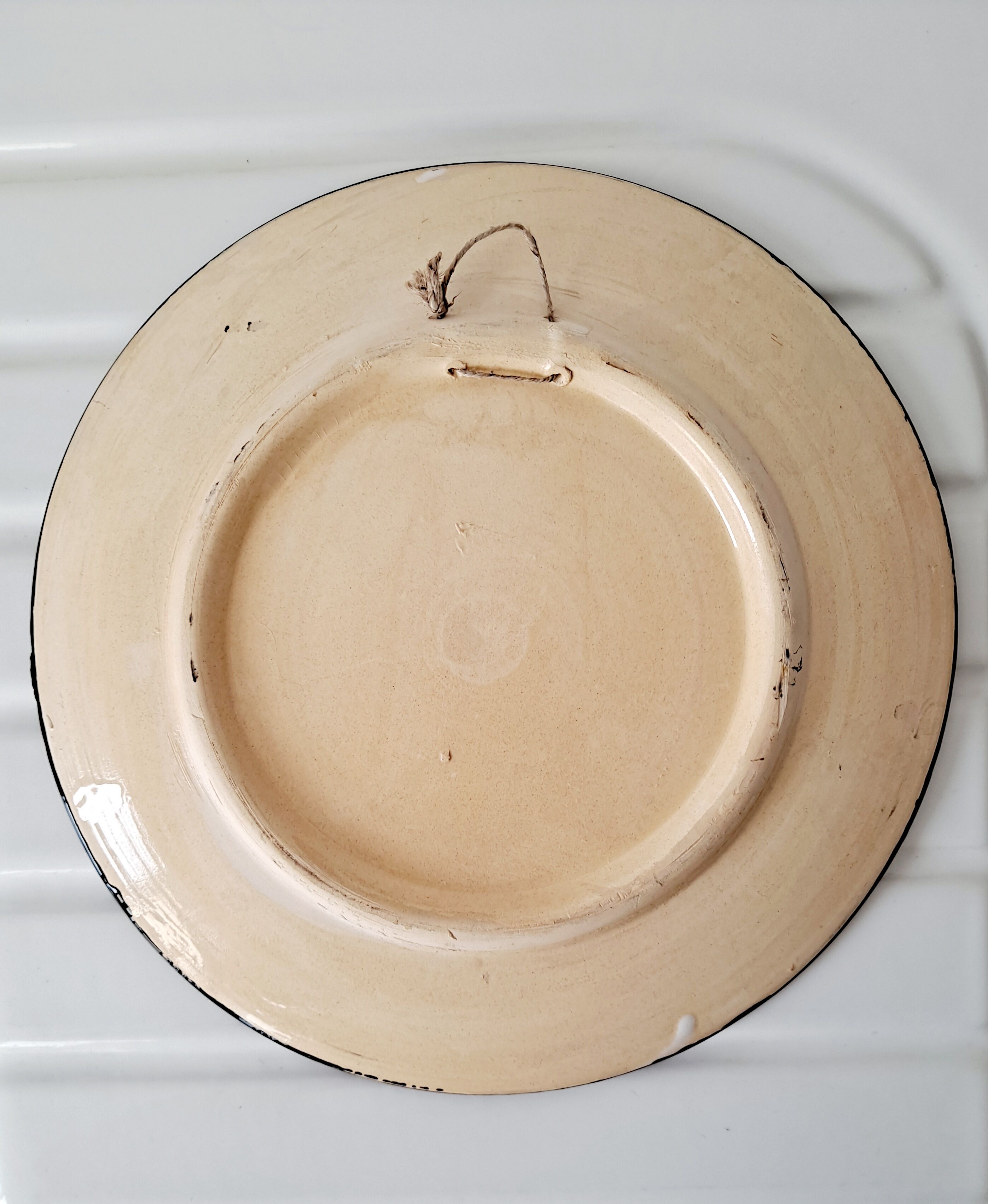 Tunisian dish blue fish