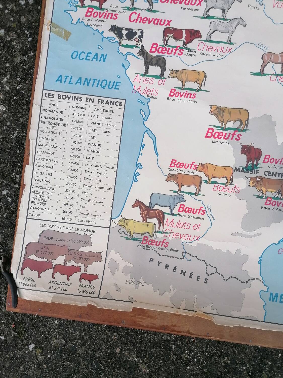 Ancienne affiche scolaire MDI France, le gros élevage et le Rhône.