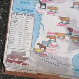 Ancienne affiche scolaire MDI France, le gros élevage et le Rhône.