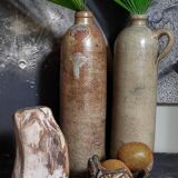 Free form sculpture in fossil wood