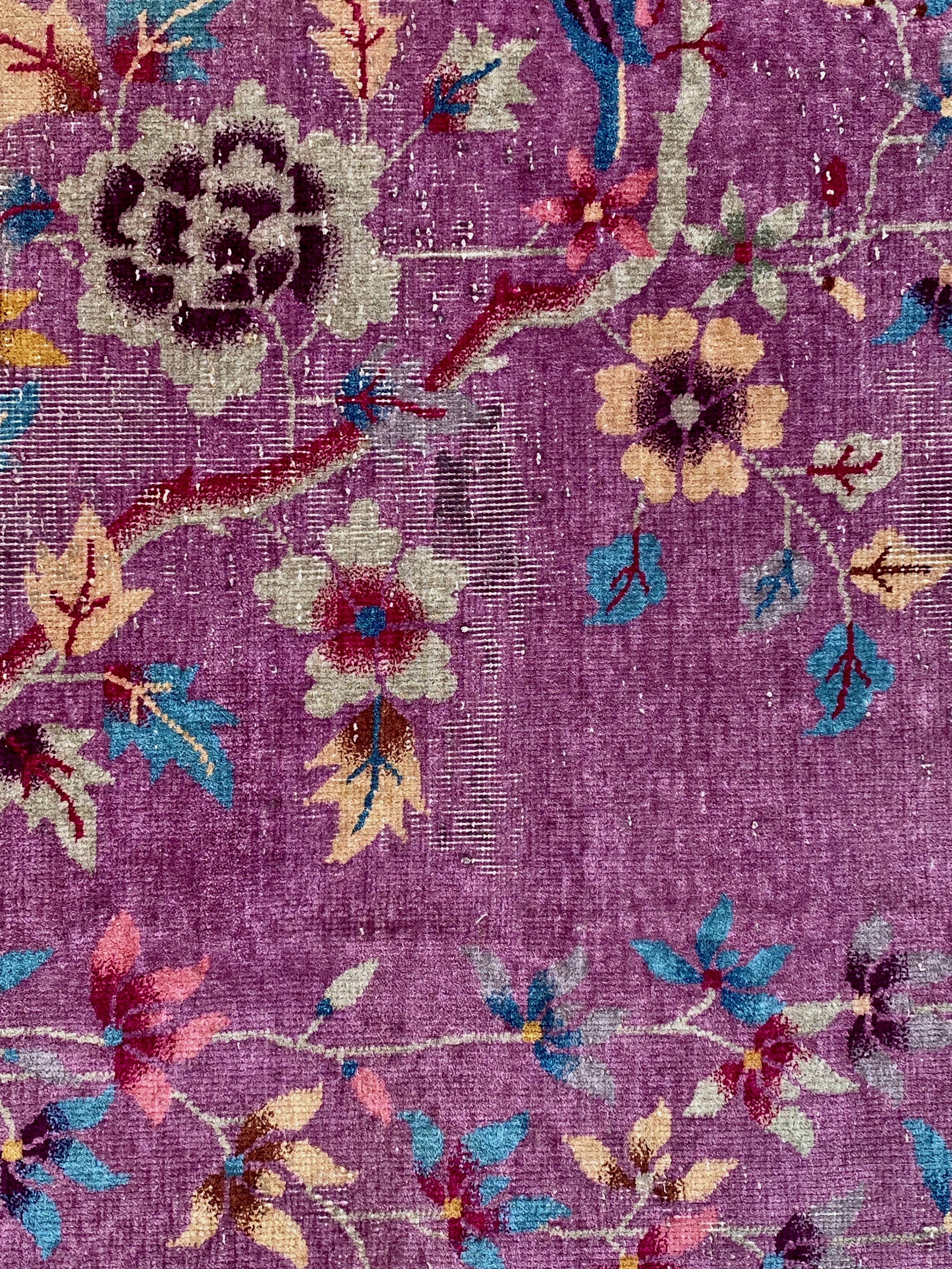 Chinese carpet in pure wool. Old 1920 . 272cm x 342cm