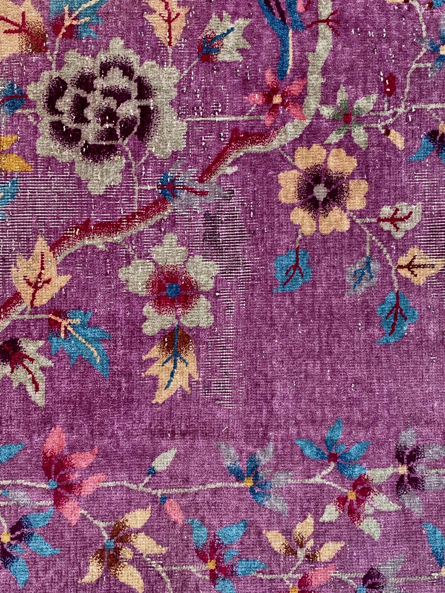 Chinese carpet in pure wool. Old 1920 . 272cm x 342cm
