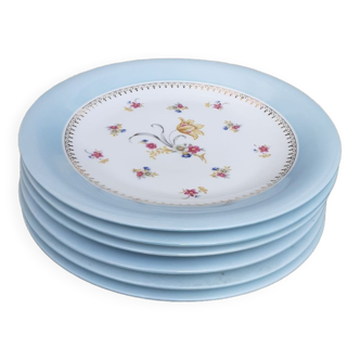 6 assiette plates limoge