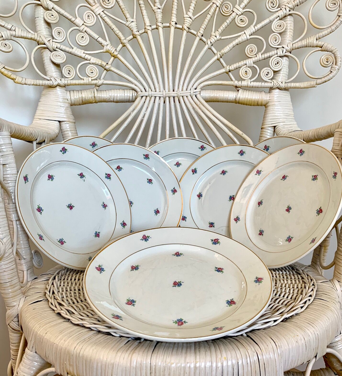 Service of 11 vintage plates Lunéville model Floréal