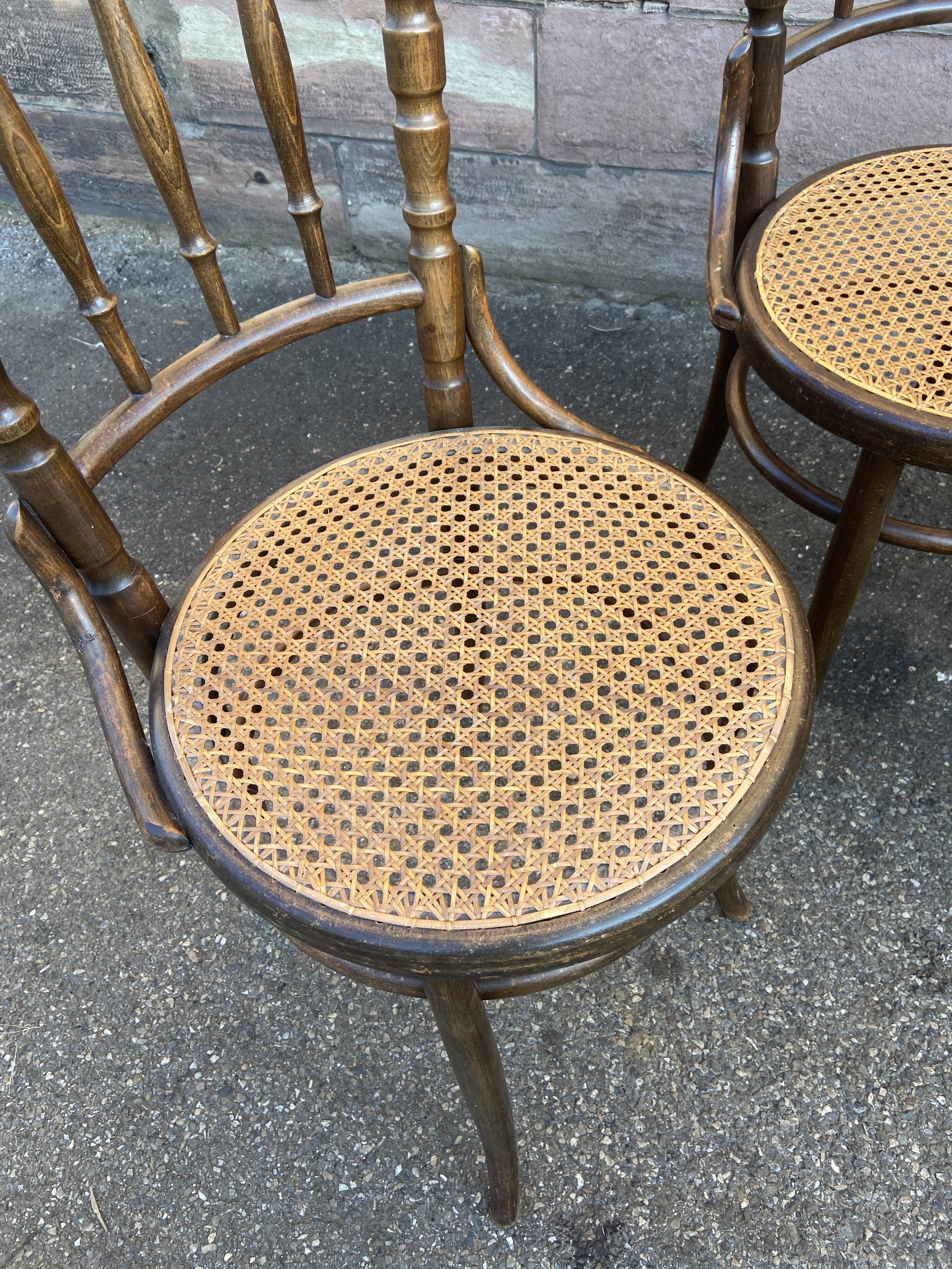 4 chairs curved wood bistro fischel bistro tuna chairs bentwood 1920