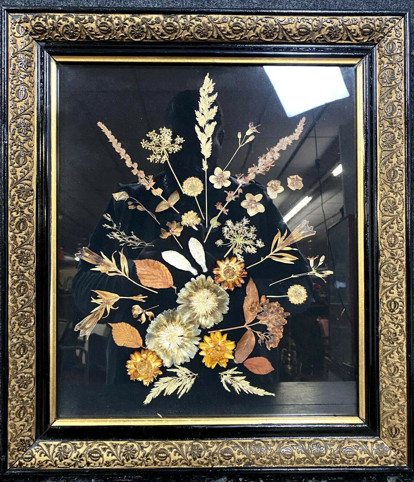Herbarium painting made during the Napoleon III period around 1850