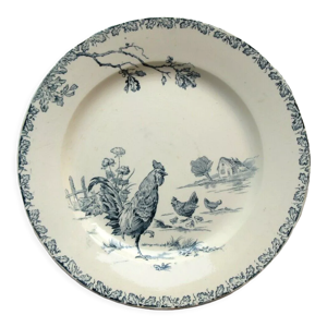 plat rond et plat en