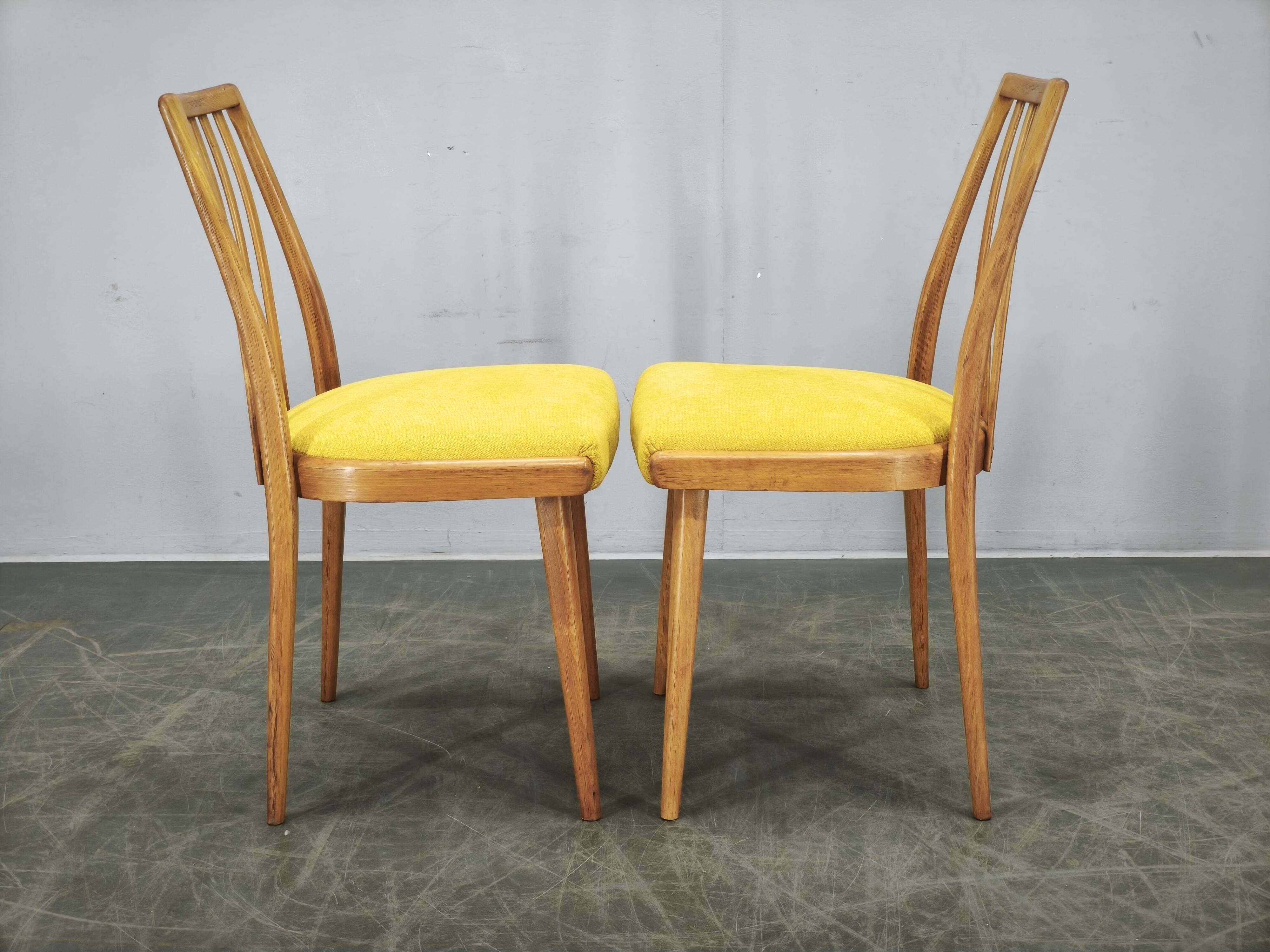 Set of 4 Mid-Century TON Beech Dining Chairs, Czechoslovakia, 1970s