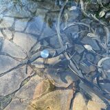 Round wrought iron table for 6 people