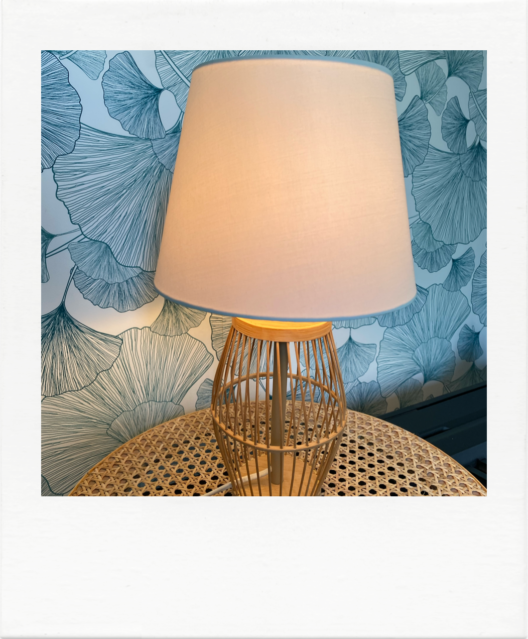 Bamboo cage lamp