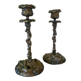 Pair of candlesticks with naturalistic decorations (gothic art nouveau) snake, salamander