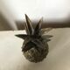 Bronze pineapple