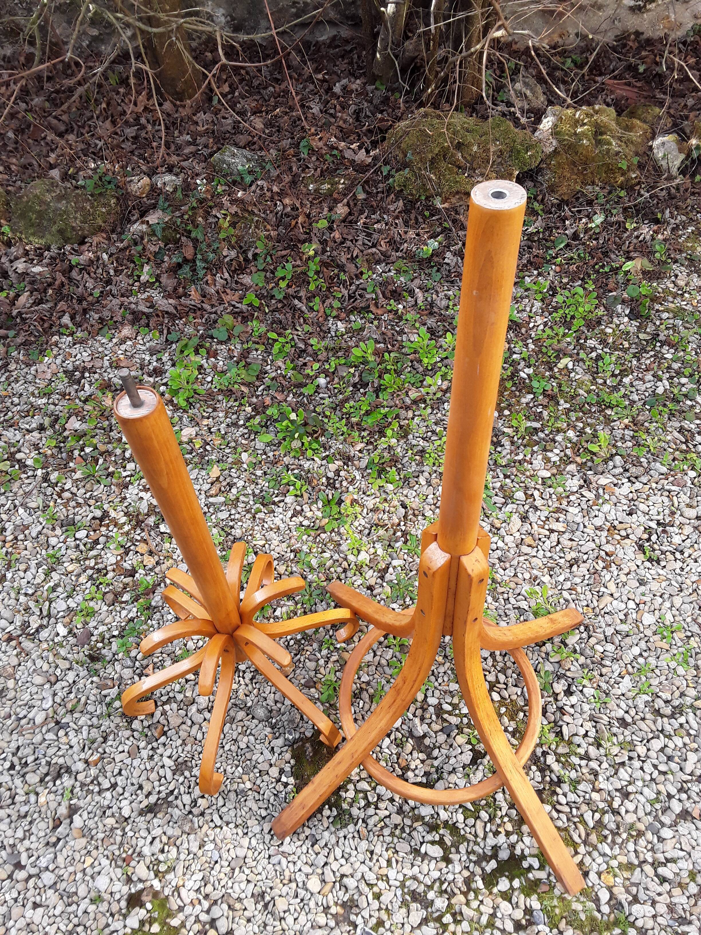 Baumann parrot coat holder