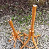 Baumann parrot coat holder