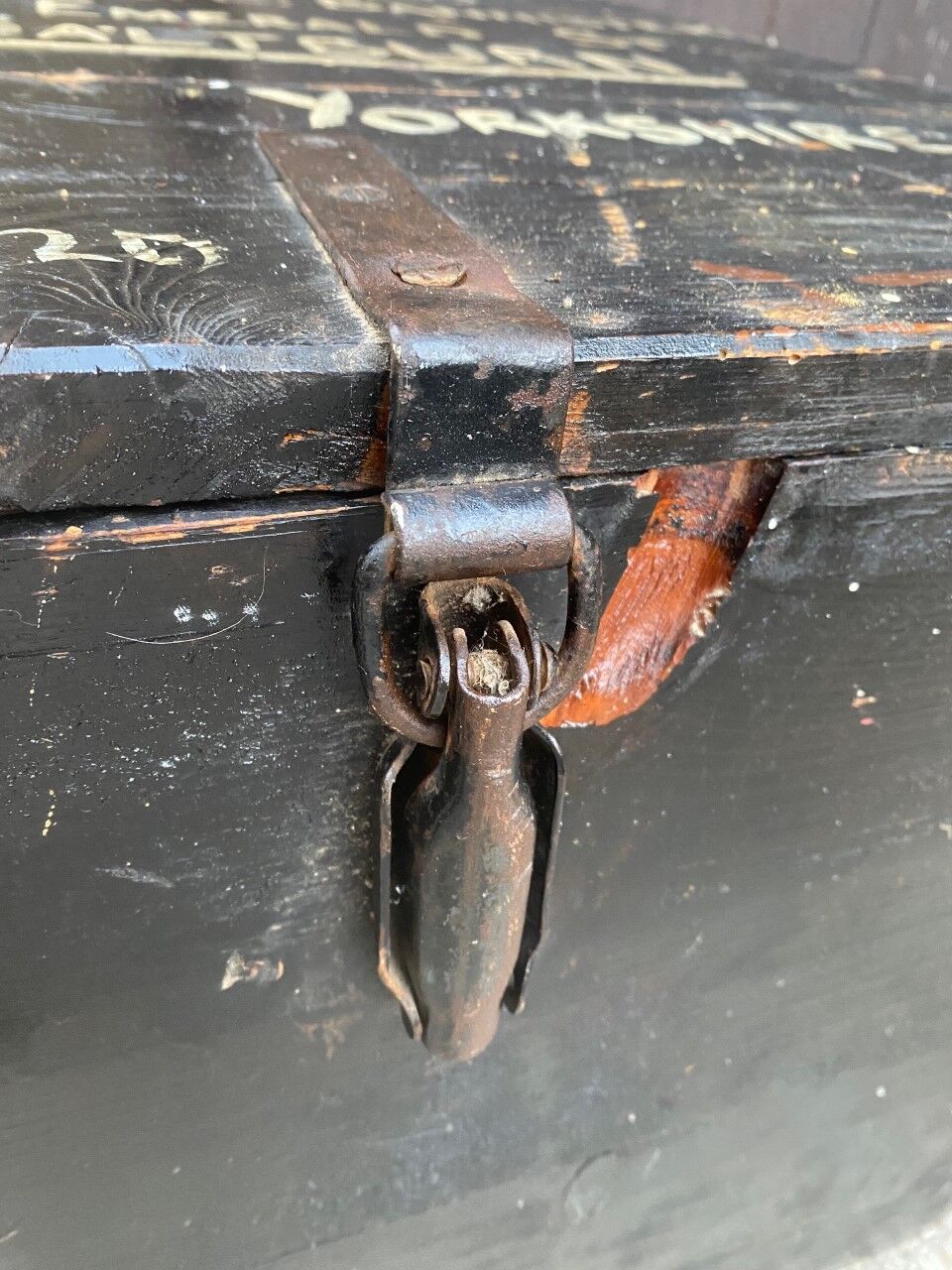 Large old trunk