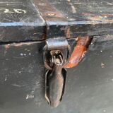 Large old trunk