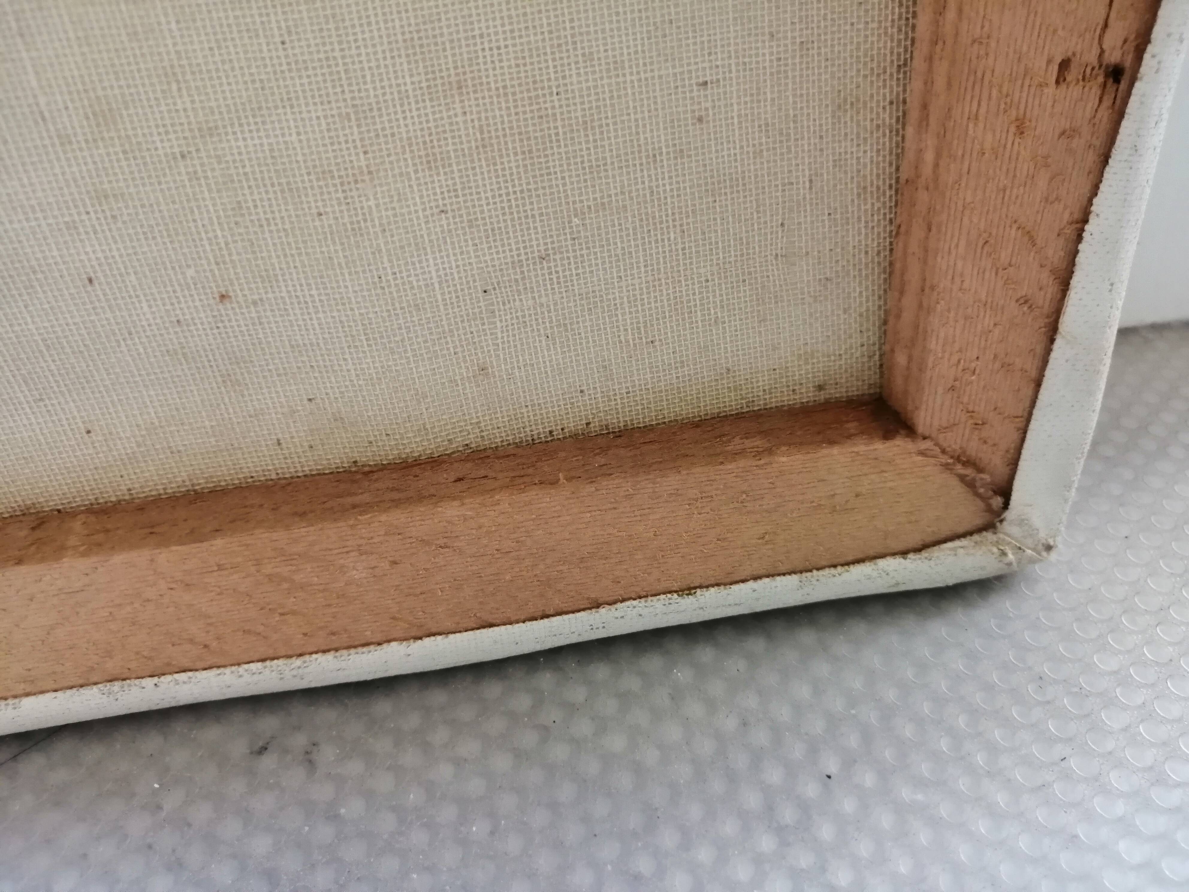 Still life with daisies and flowers in vase