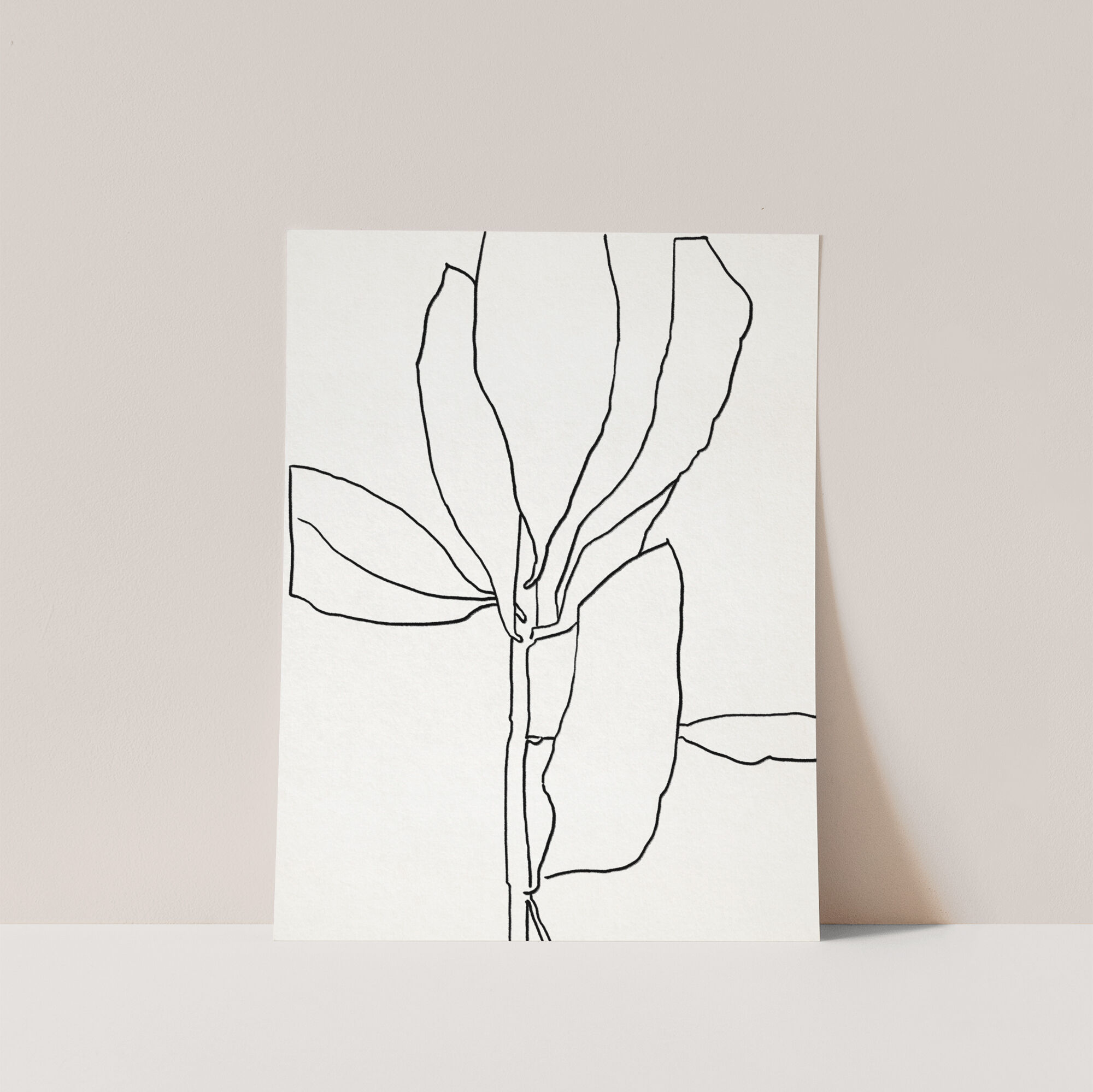 Illustration botanique lignes noires 50x70cm