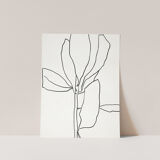 Botanical illustration black lines 50x70cm