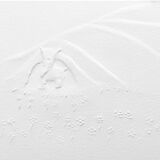 The little prince (the tree)