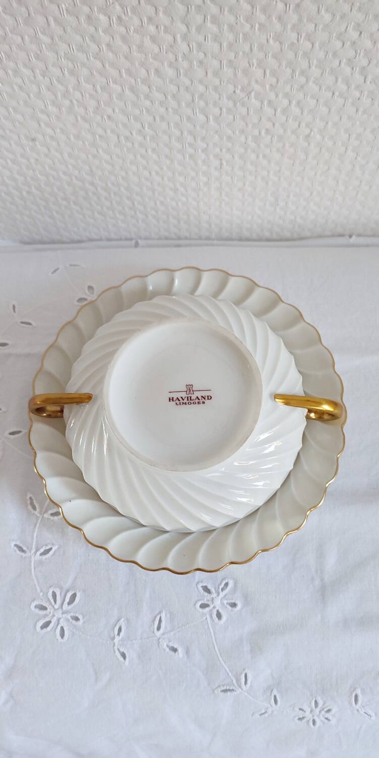 Havilland Limoges porcelain cup and saucer