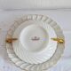 Havilland Limoges porcelain cup and saucer