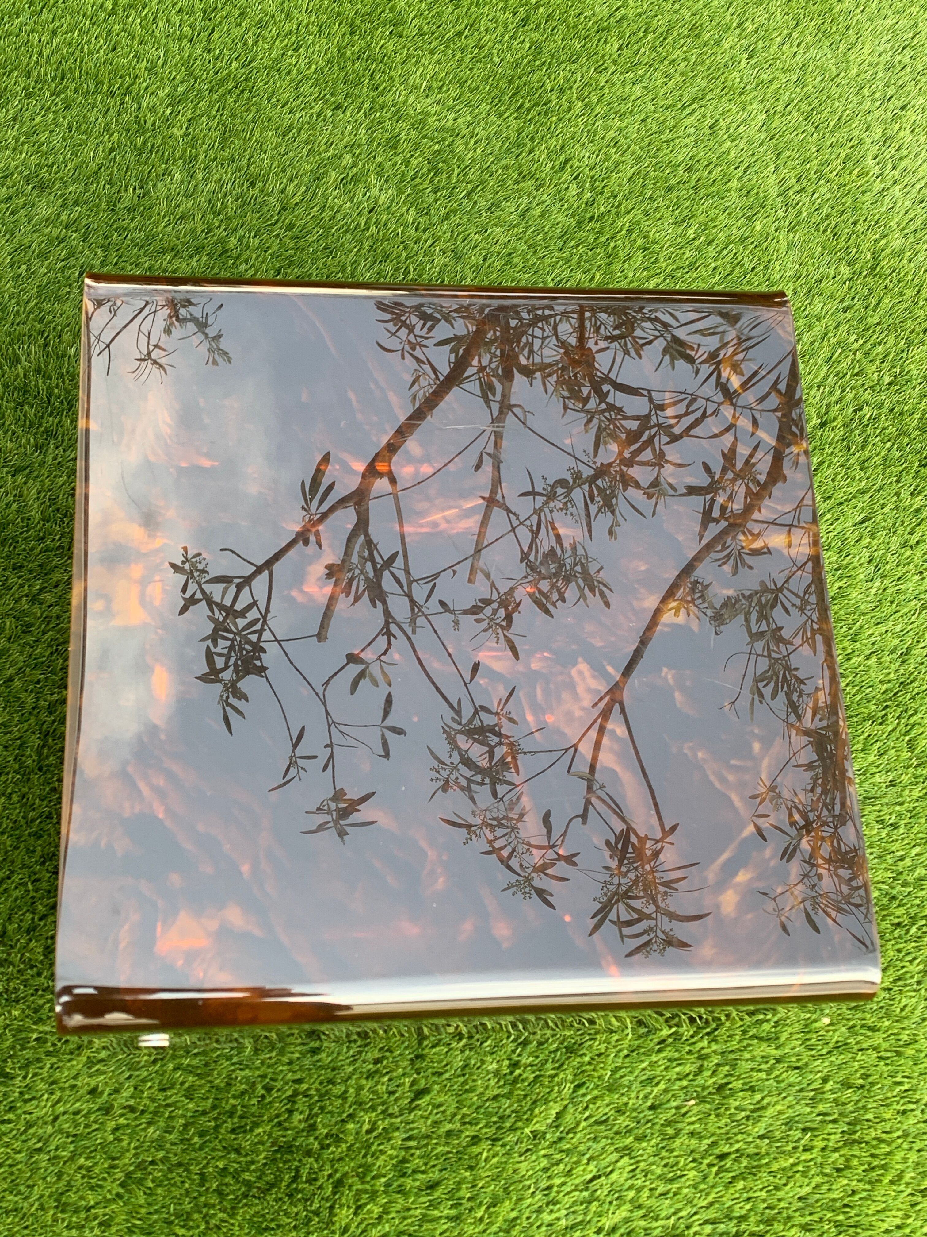 Range records or vinyl range in plexi, turtle scales effect, on wheels, 1970