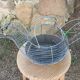 Chicken shaped egg basket