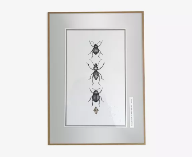 Illustration insects n°2, limited series