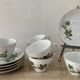 Vintage porcelain herbarium service 6 cups with plates