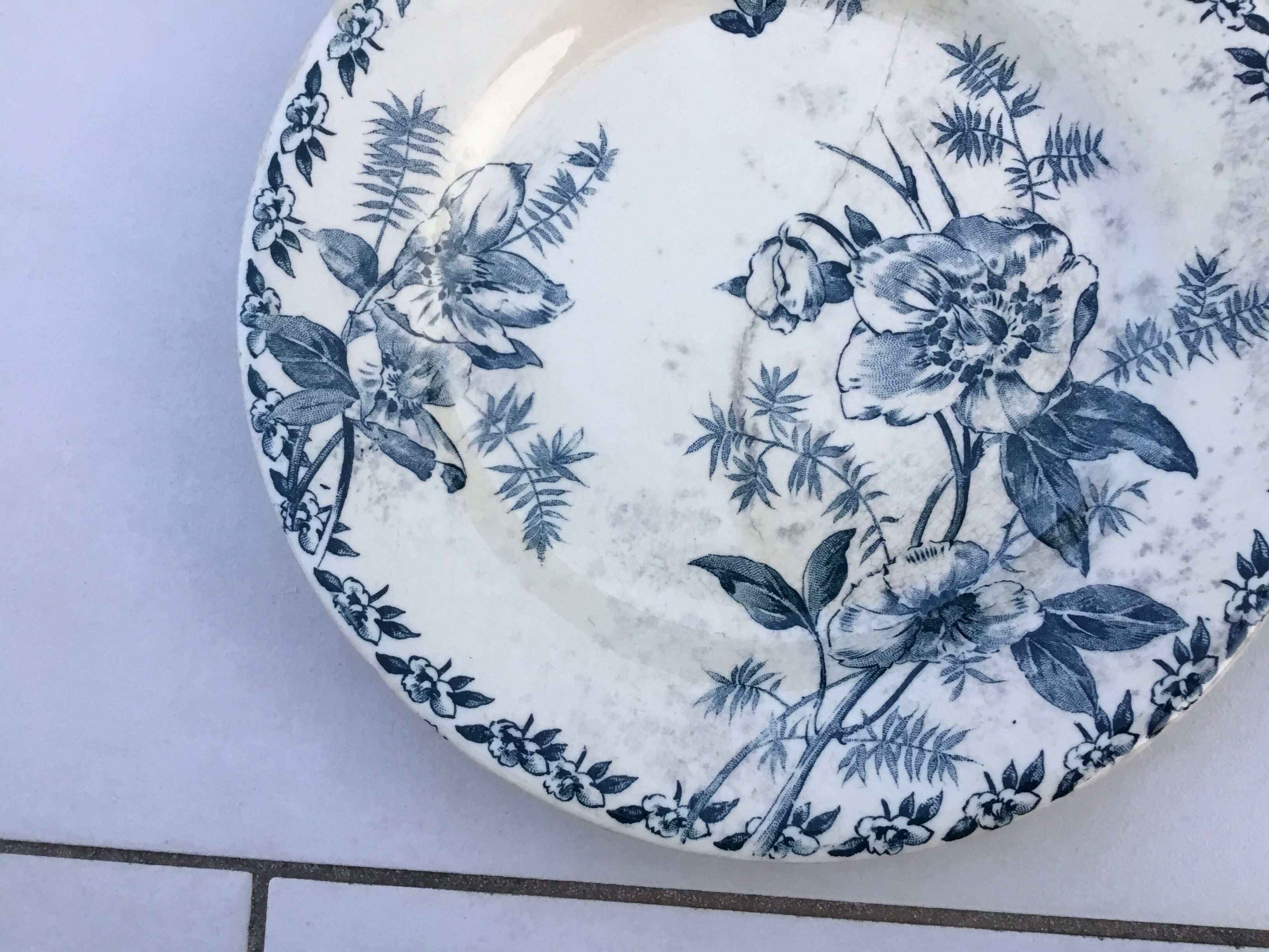 Plates made Gien, Terre de Fer