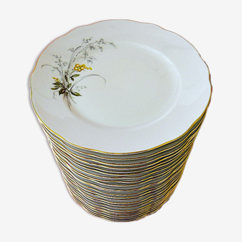 Suite de vingt-quatre assiettes  de table en porcelaine