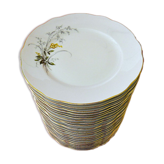 Suite of twenty-four plates (24) of porcelain table (flat)