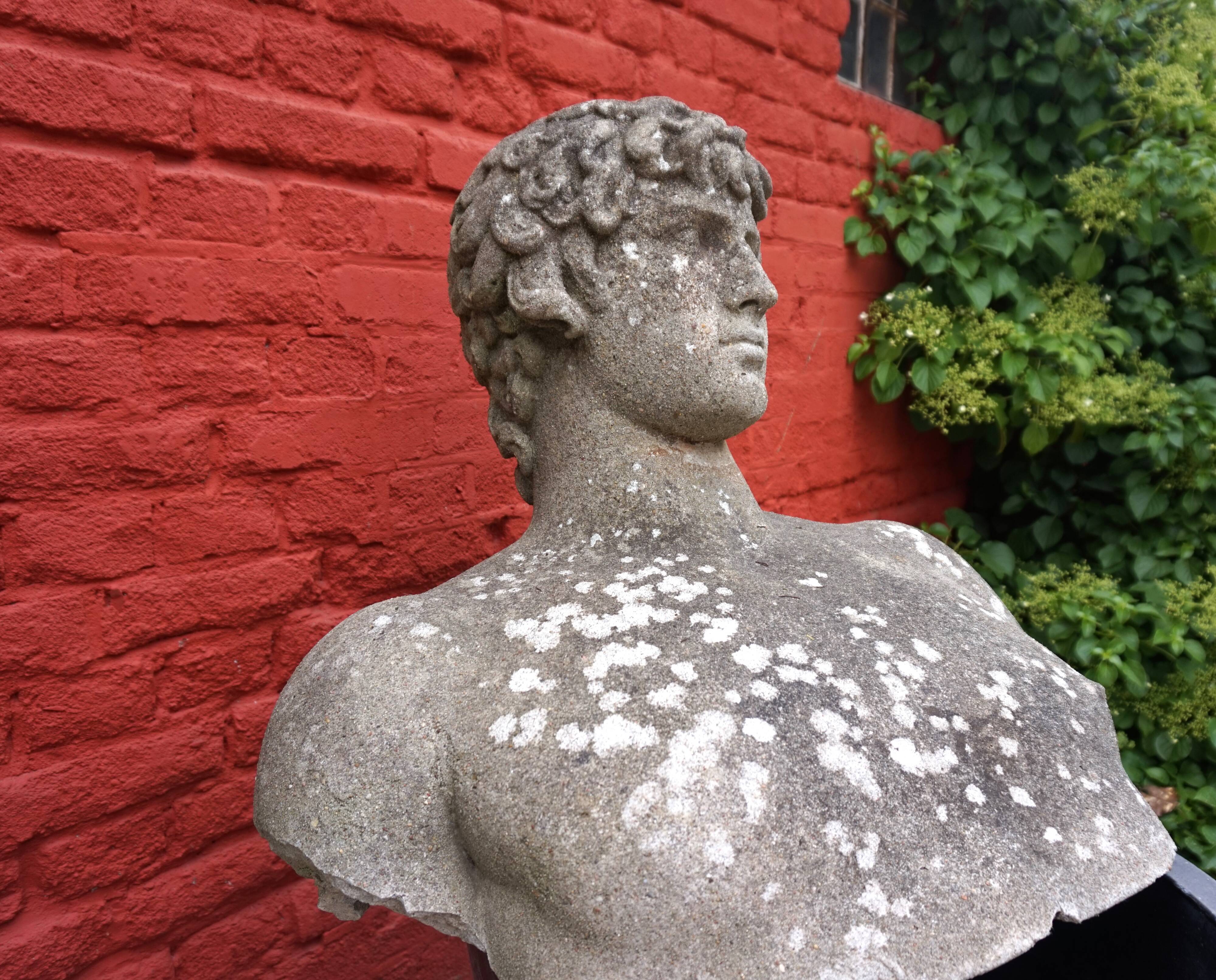 Weathered garden sculpture David concrete bust