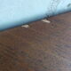 Old patinated commodity